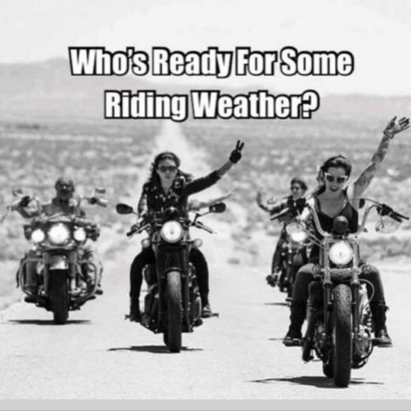 Meet your Posher, Angie - Picture 10 of 15